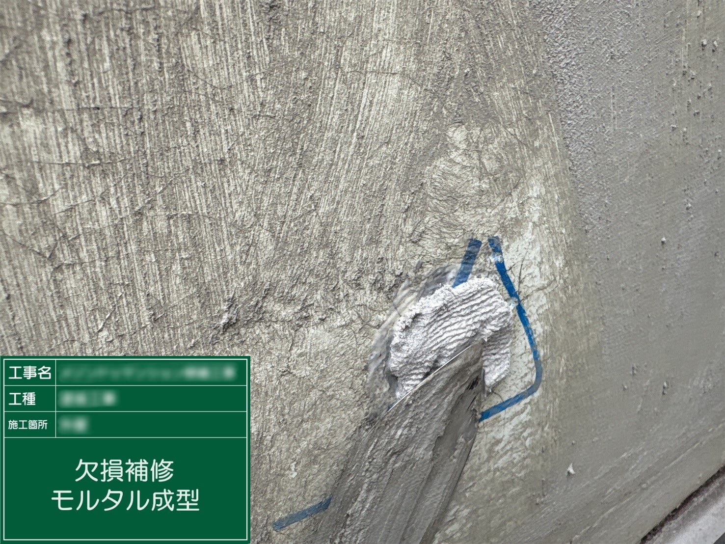 ⑤モルタル成型